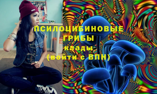 тгк Кулебаки