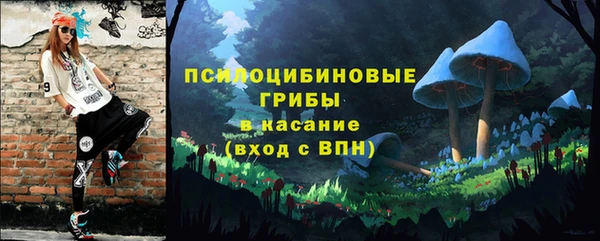 тгк Кулебаки