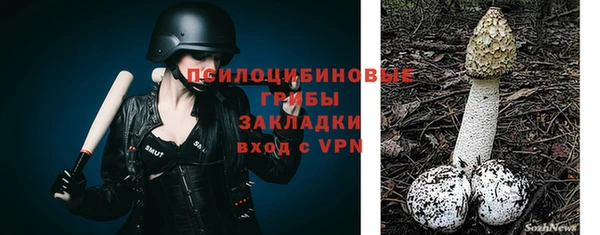 тгк Кулебаки