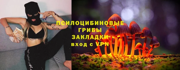 тгк Кулебаки